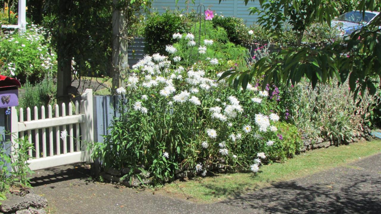 Cozy Haven - Waihi Apartment Exterior photo